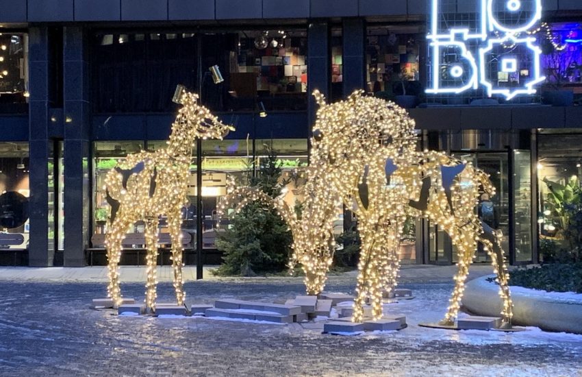 Stockholm reindeer decorations