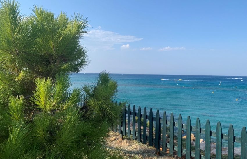 Konnos-bay