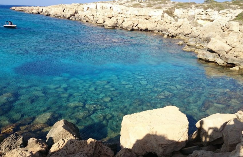 fig-tree-bay-cyprus